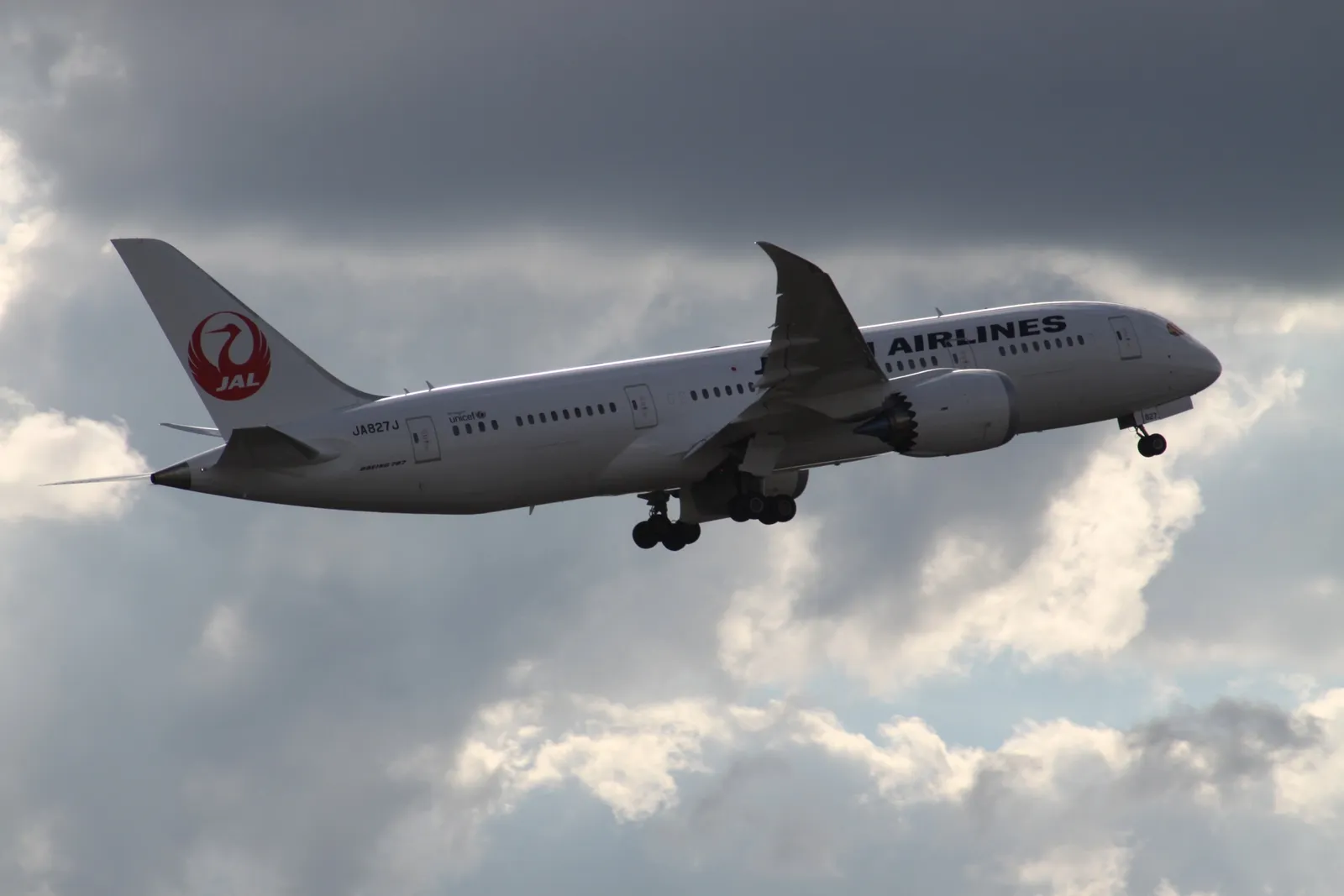 A Japan Airlines Boeing 787.