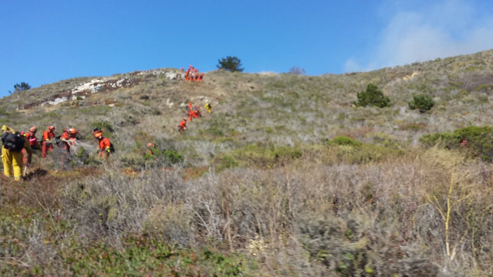 Wildland firefighters working a brush fire.