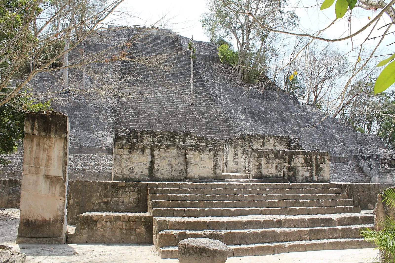 A Maya pyramid at Calakmul, in the same Campeche biosphere reserve where the newly documented site lies.