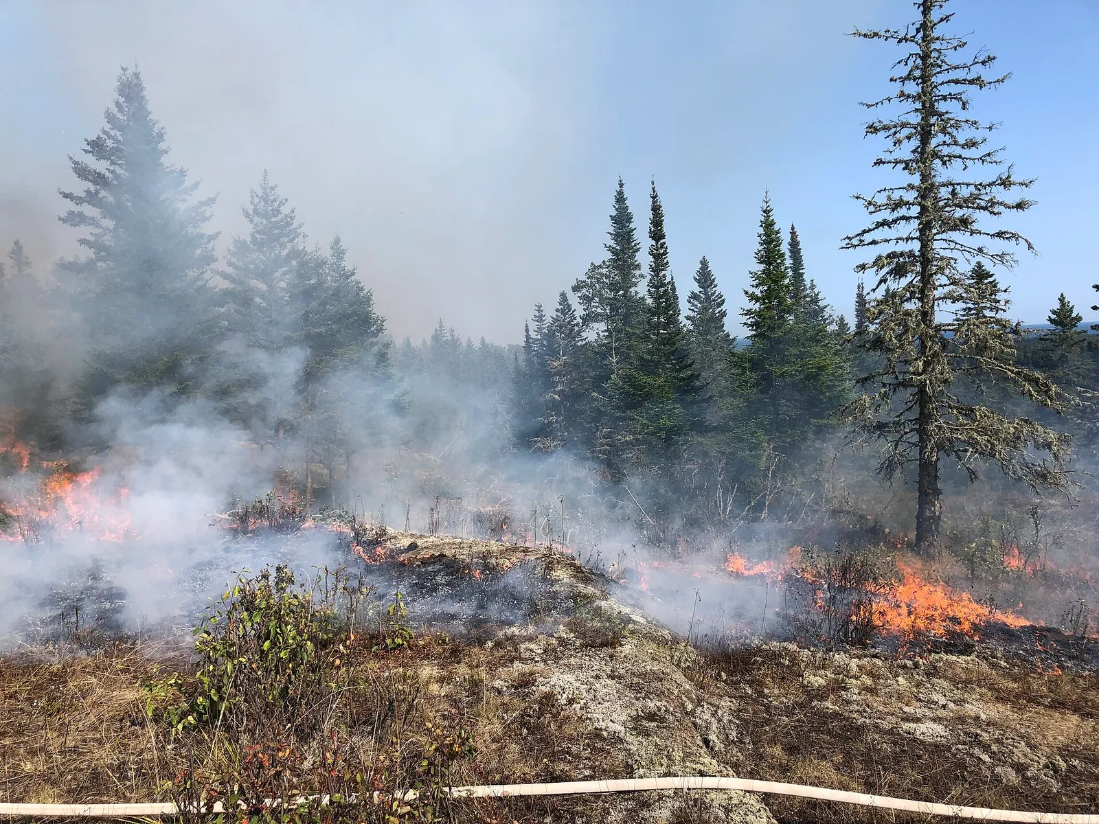 Firefighters working a wildland fire.