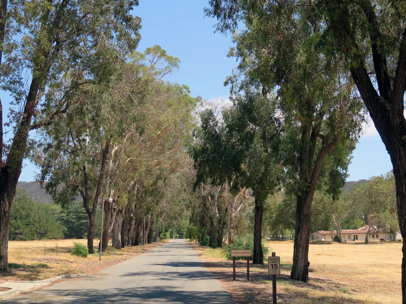 The tree-lined driveway into King Gillette Ranch in Calabasas.