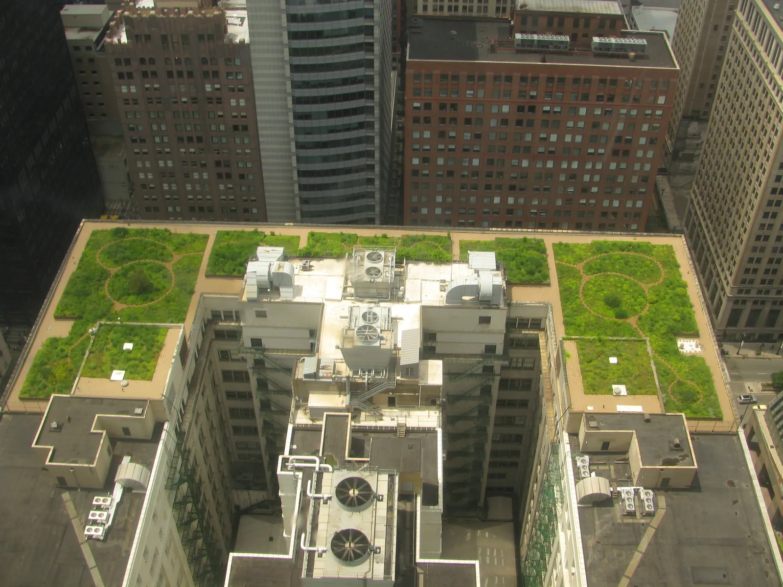 A green roof planted on a city building.