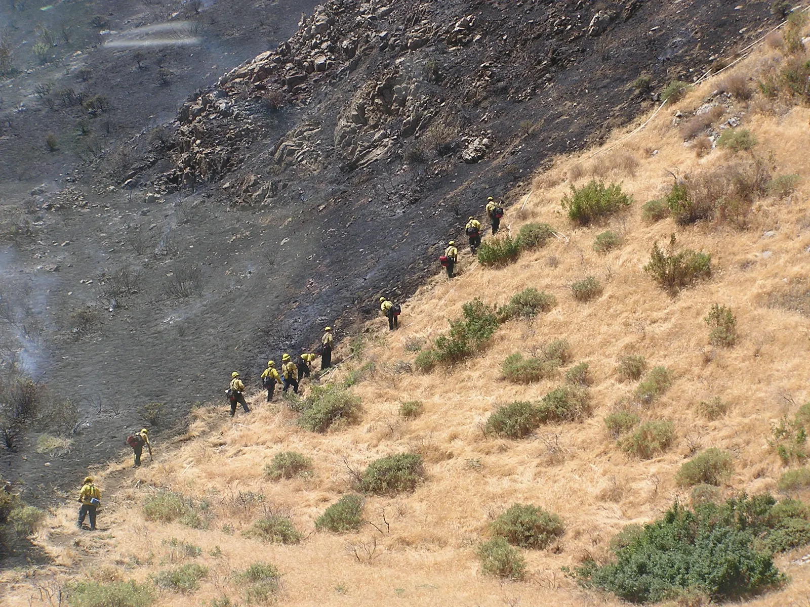 A wildland fire crew works on a hillside.