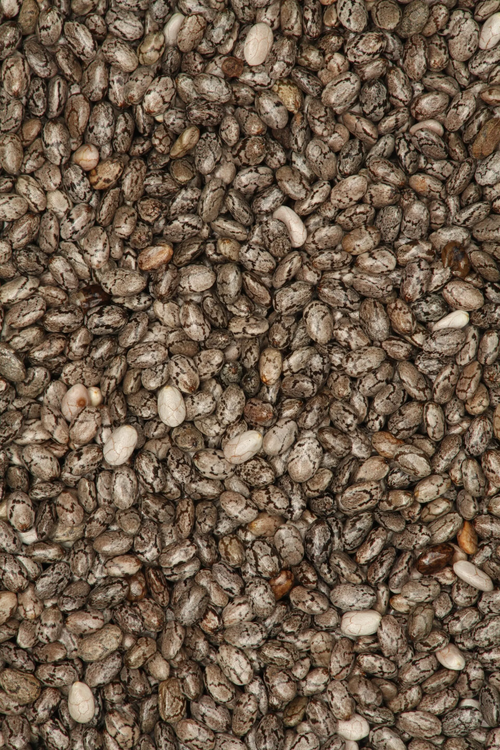 A close-up of chia seeds, the fiber-rich ingredient behind the 'natural Ozempic' trend.