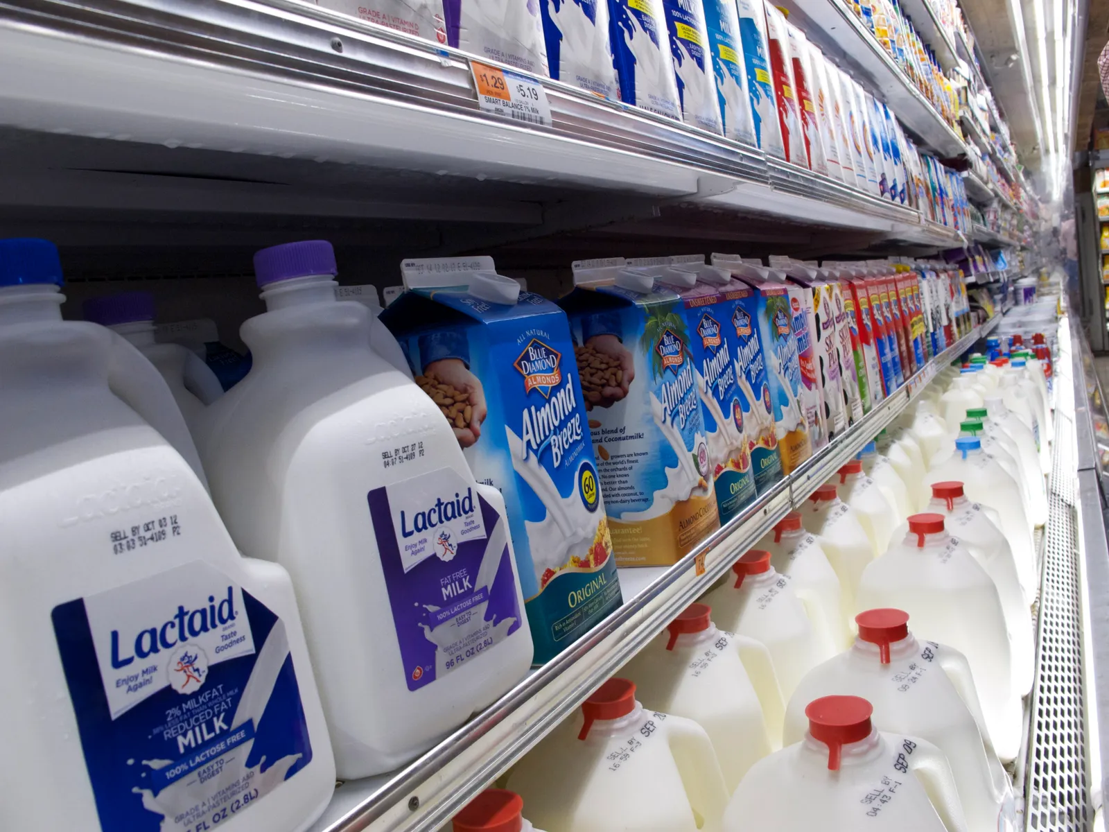 Milk cartons in a supermarket dairy case.