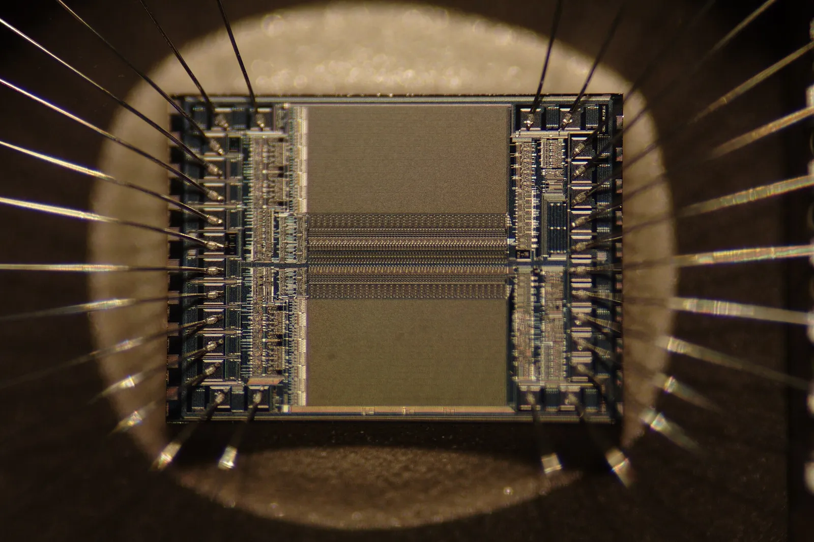A close-up of a microchip die.