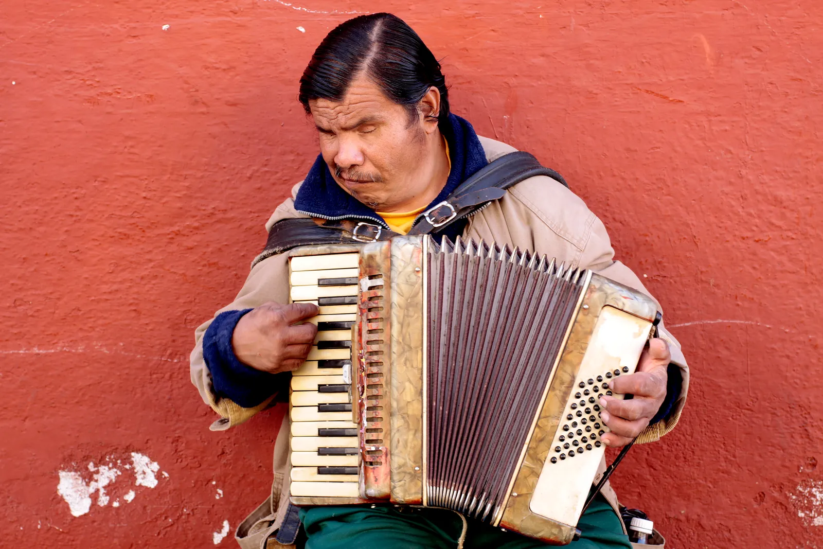 A musician plays the accordion (file photo).