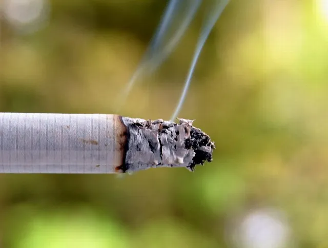 A lit cigarette.