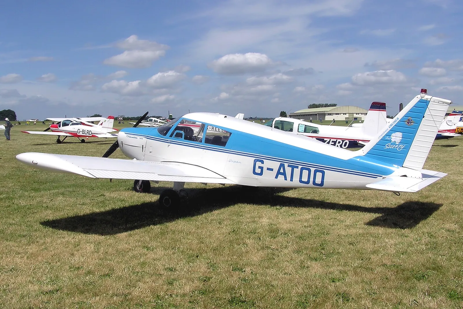 A small single-engine light aircraft (file photo).