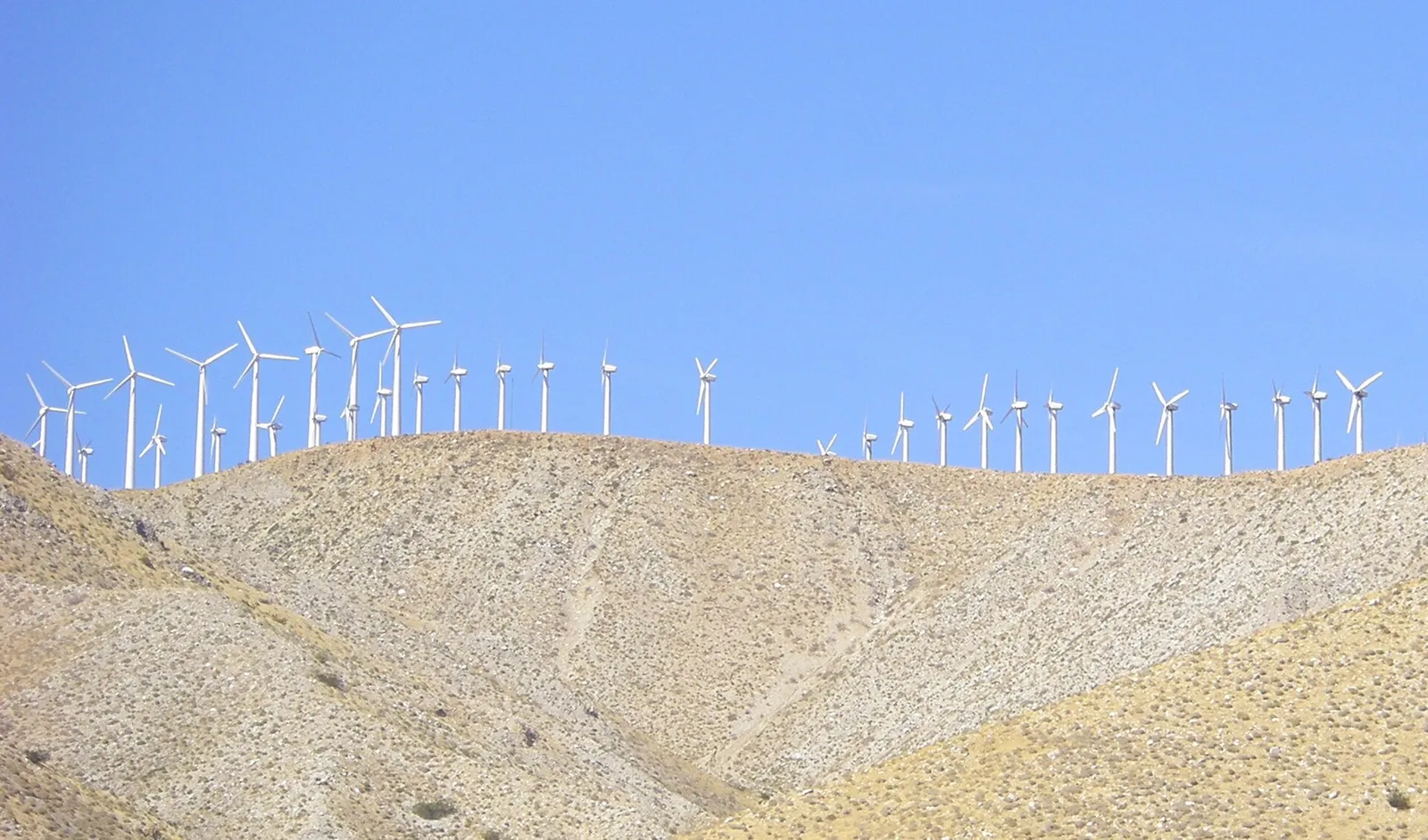 Wind turbines at the San Gorgonio Pass in Southern California.