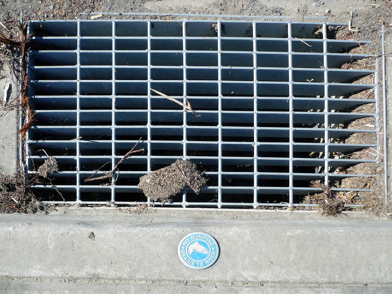 A storm drain grate in a curb.
