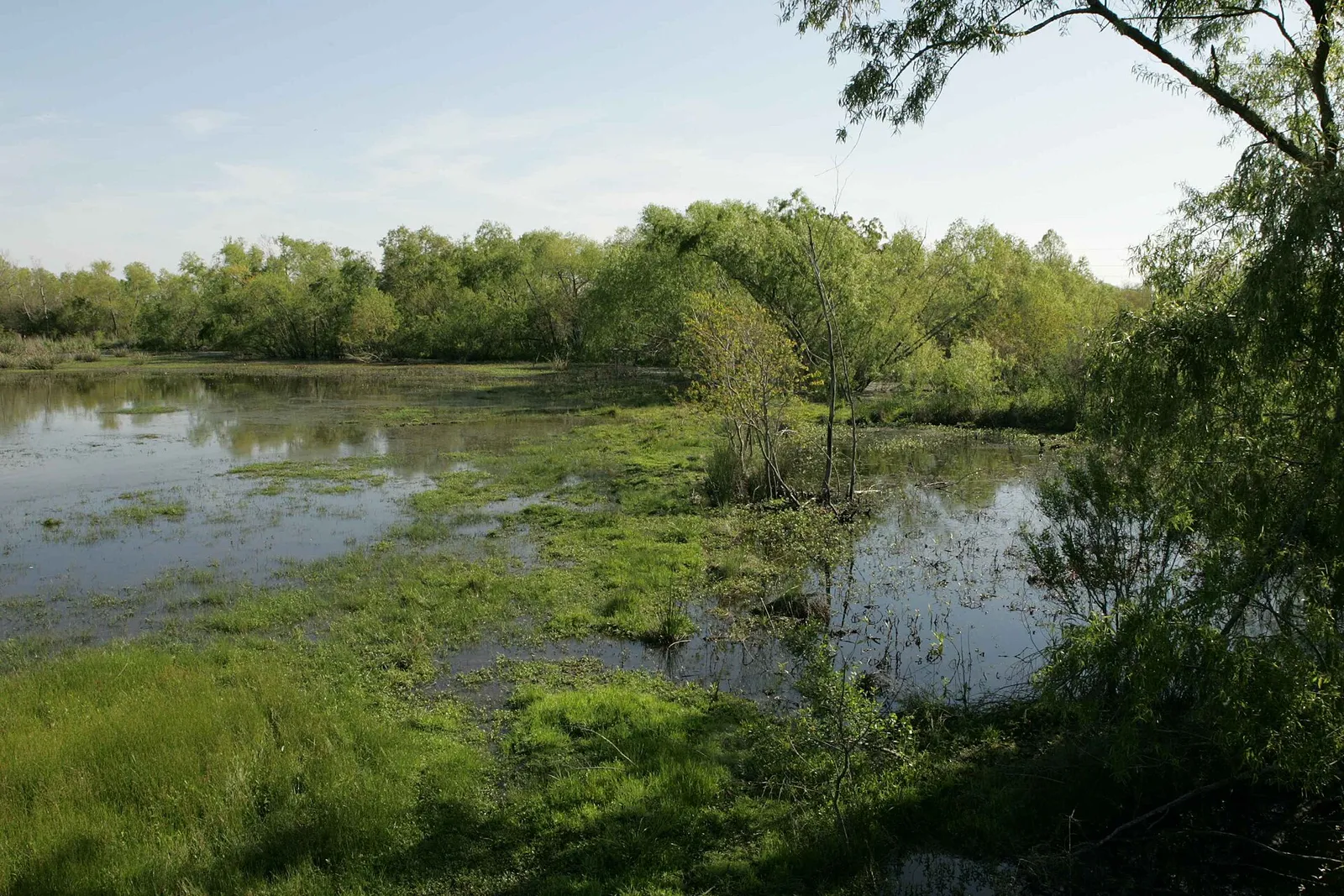 A wildlife refuge marshland that provides habitat for many species (file photo).