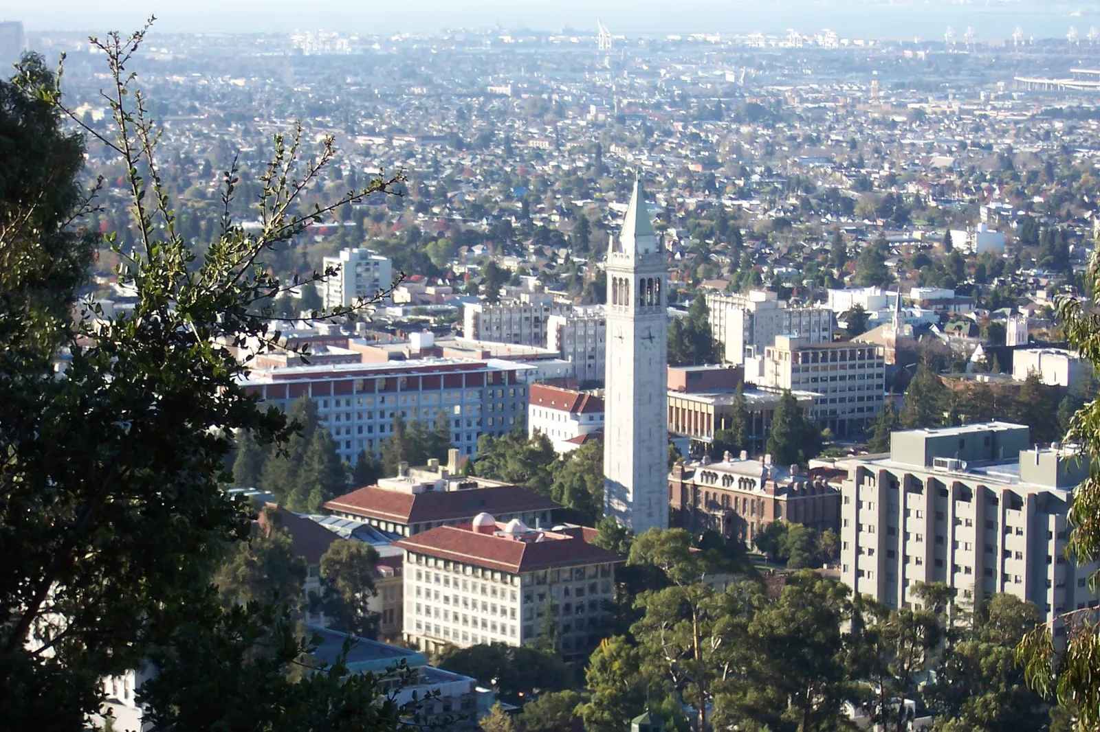 An overview of the UC Berkeley campus.