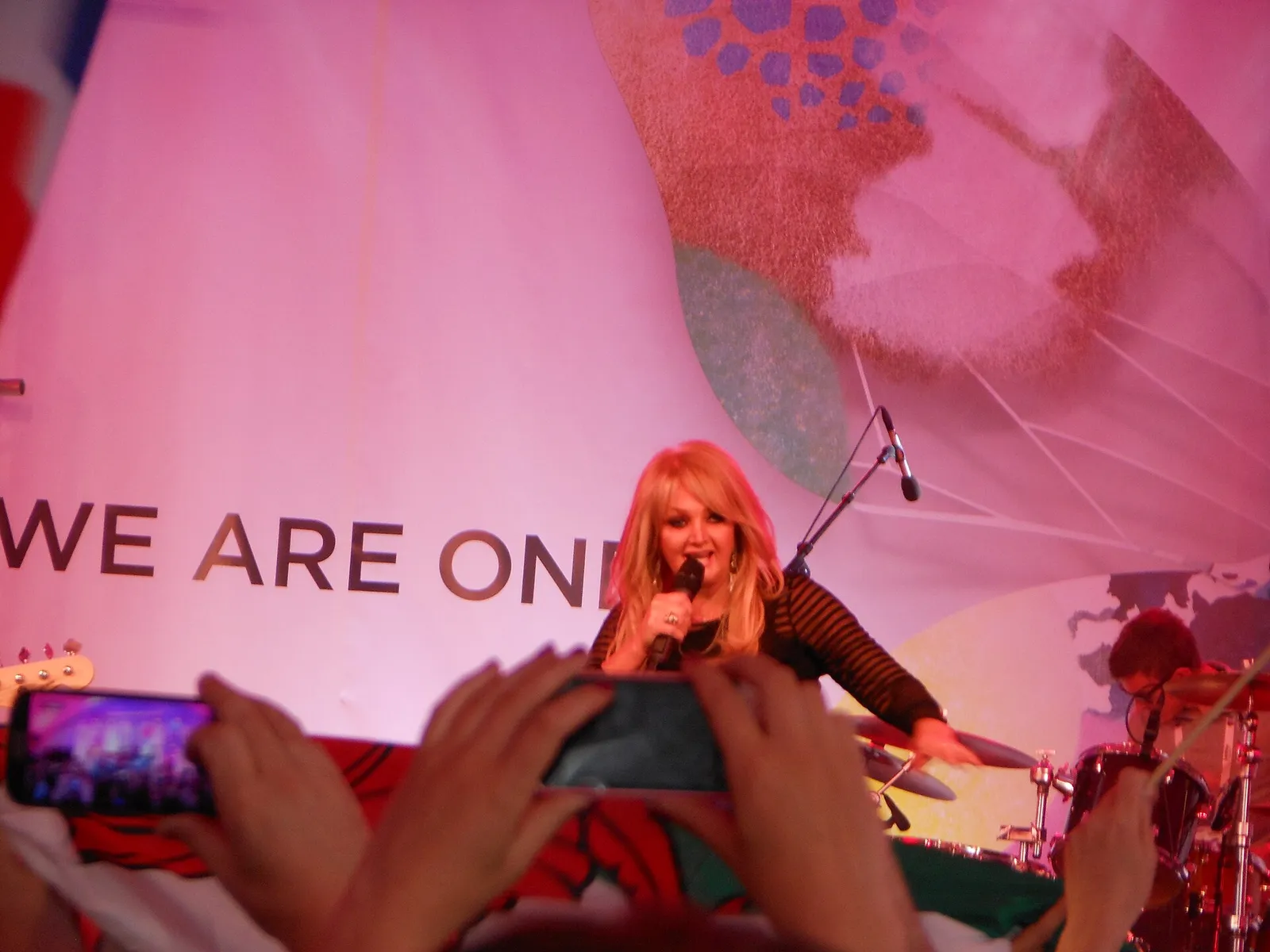 Bonnie Tyler performing in 2013.