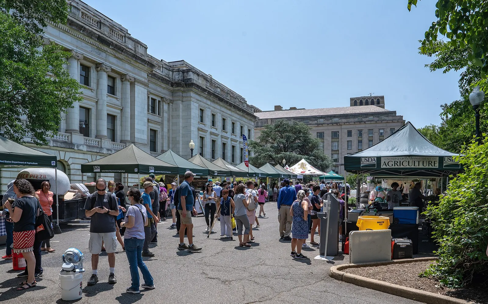 Fresh produce for sale at a farmers' market