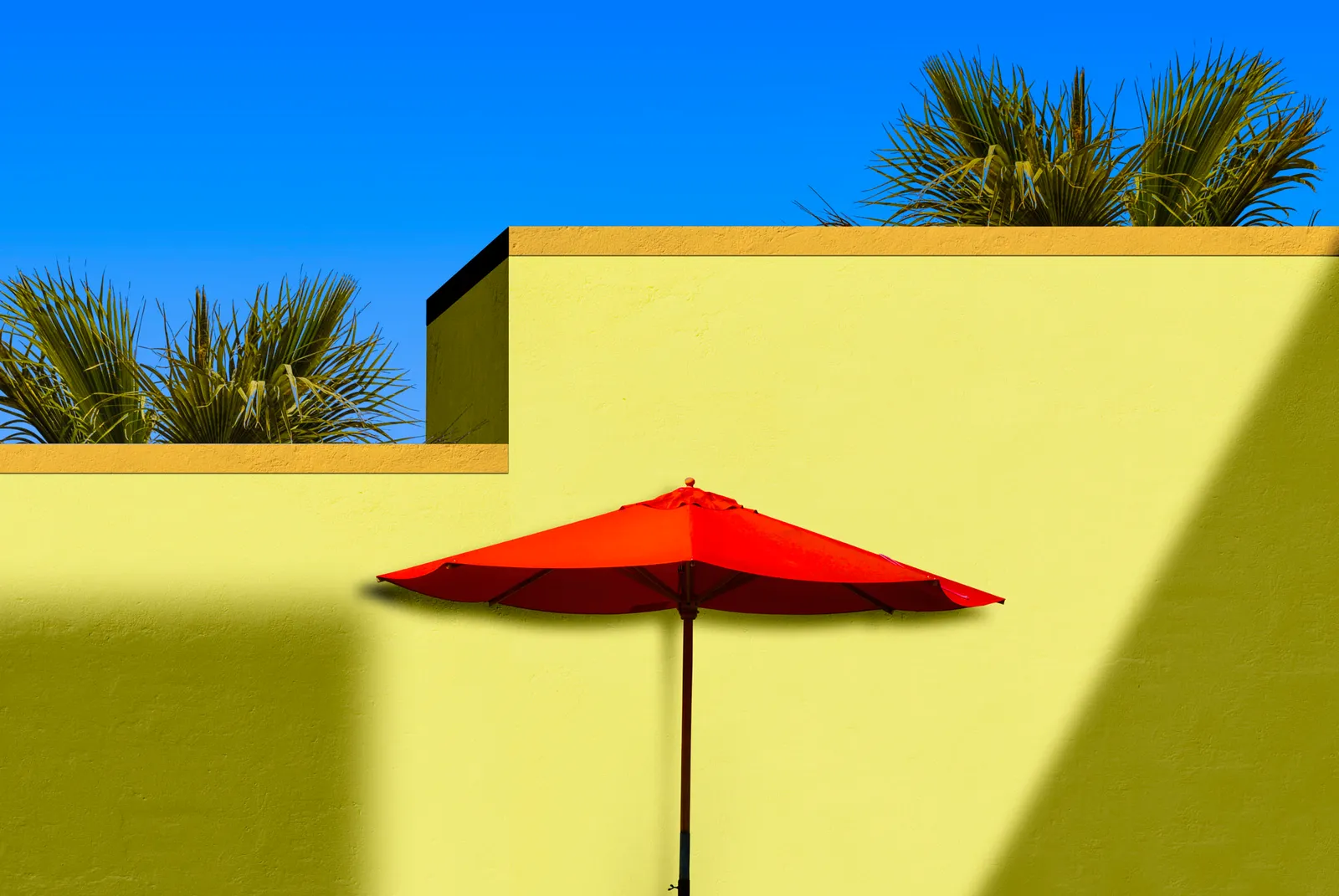 A sunny Southern California beach.
