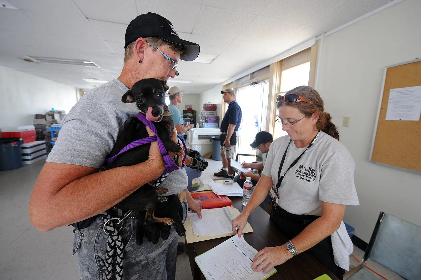 A volunteer with a dog at an animal kennel (file photo).