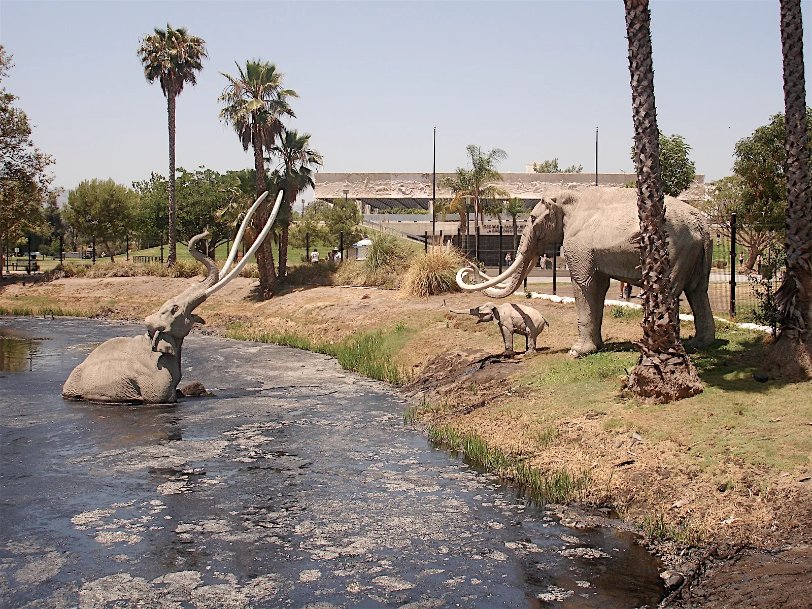 The mammoth sculptures at the La Brea Tar Pits in Los Angeles.