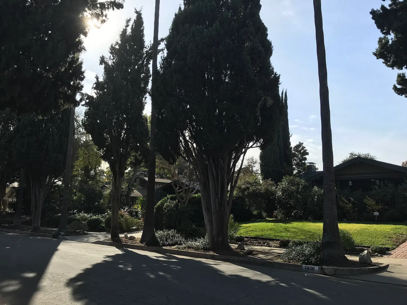 A residential street in Pasadena, California