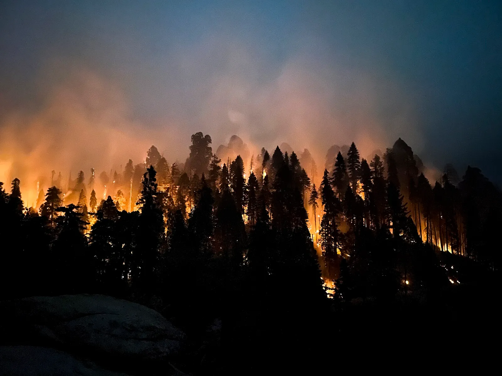 Flames from a wildfire burning through California forest