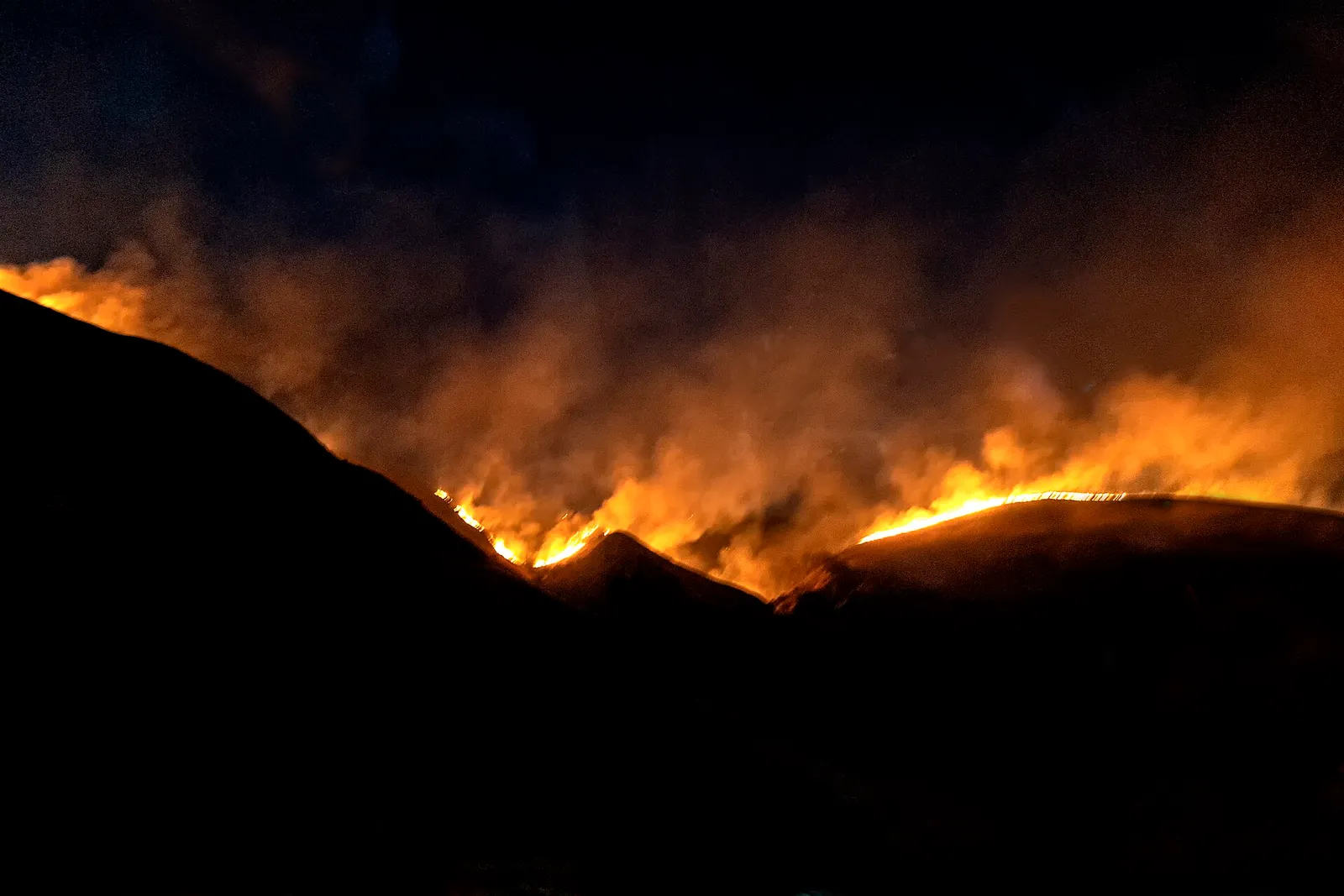 Flames from a brush fire burn across a hillside at night.