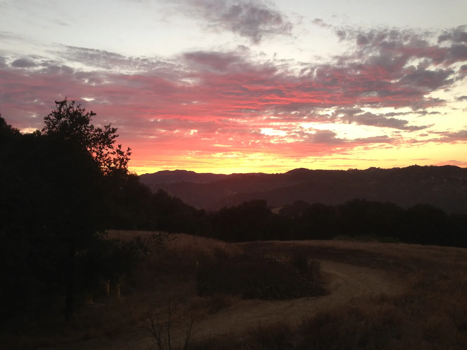 Sunset at Topanga State Park in the Santa Monica Mountains.