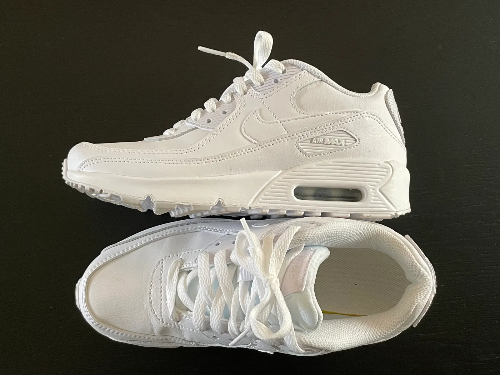 A Nike Air Max sneaker.