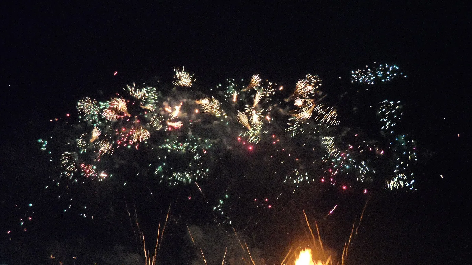 Fireworks burst in the night sky.