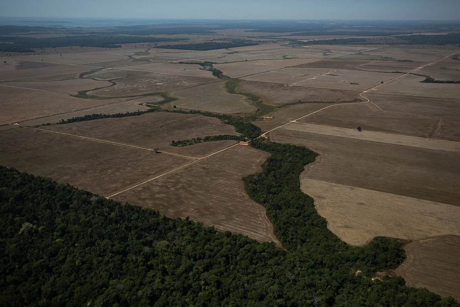 An aerial view over the Brazilian Amazon in Rondônia state (file photo).