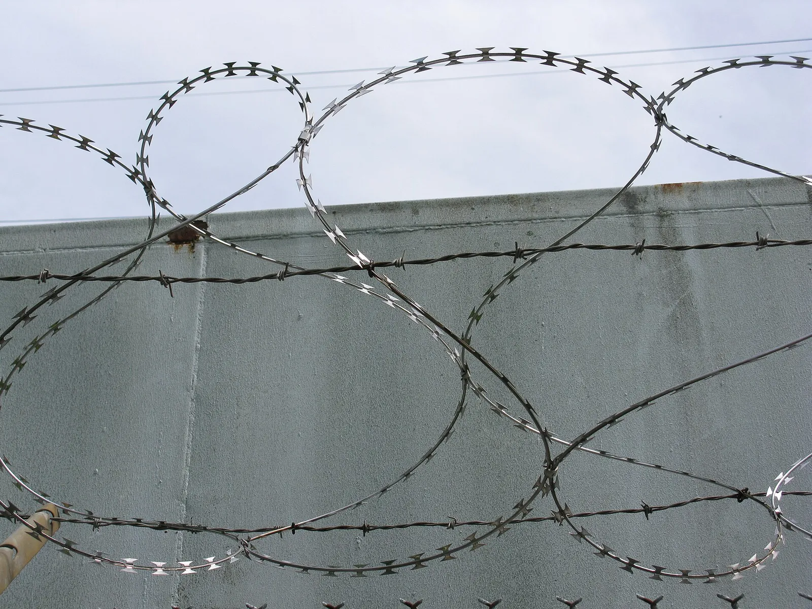 Coils of razor wire along a fence.