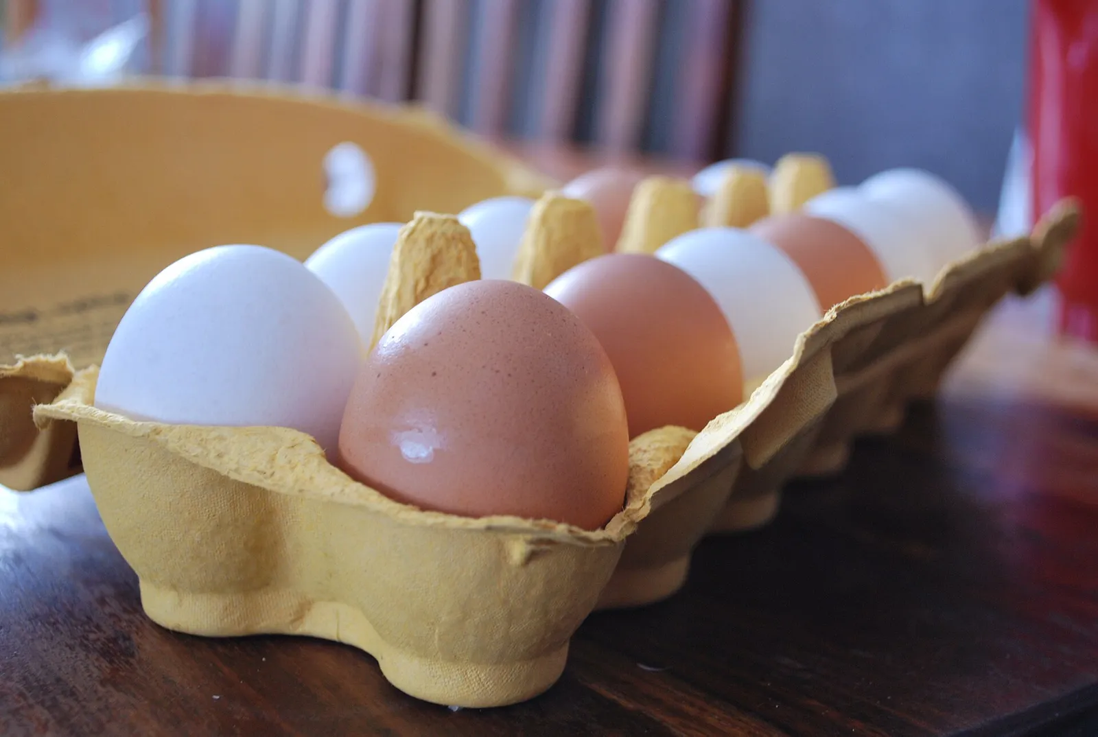 White and brown eggs