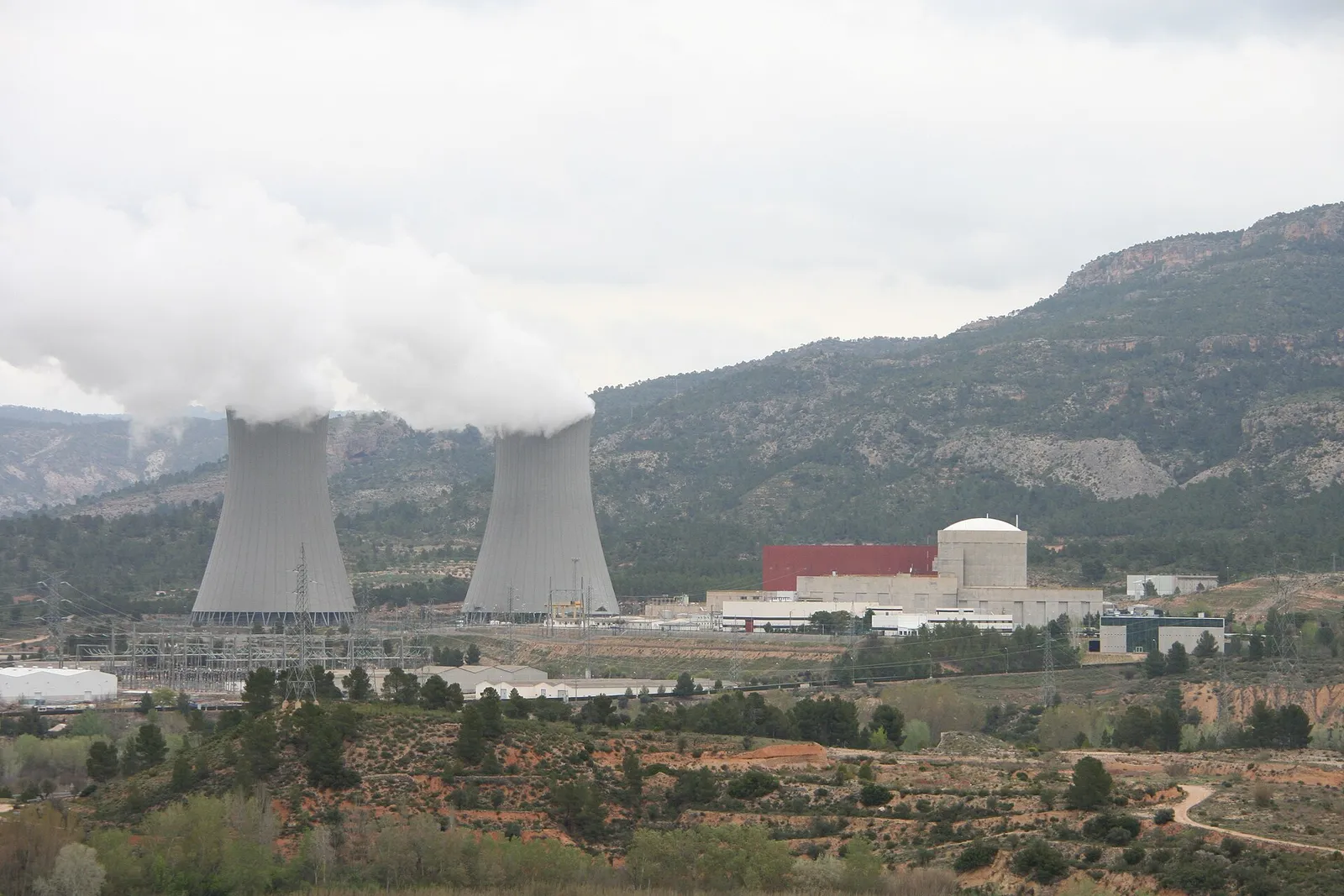 Cooling towers at a nuclear power plant.