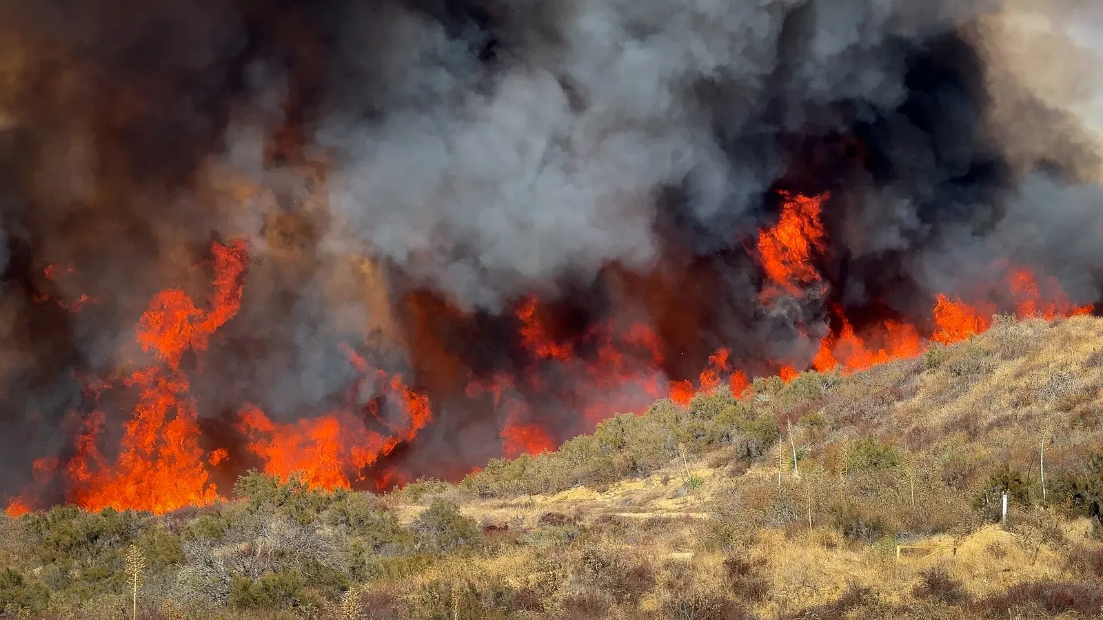 Firefighters work near an advancing wildfire (file photo).