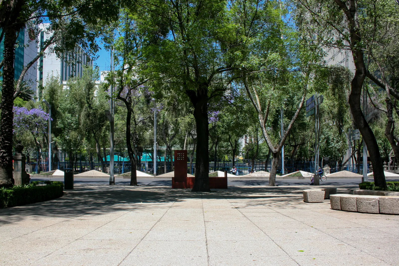 Paseo de la Reforma, the Mexico City avenue where crowds gathered.
