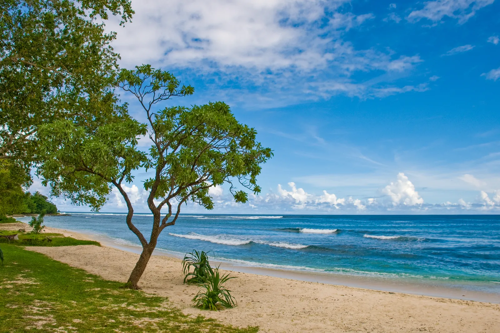 A coastal scene on Efate, Vanuatu.