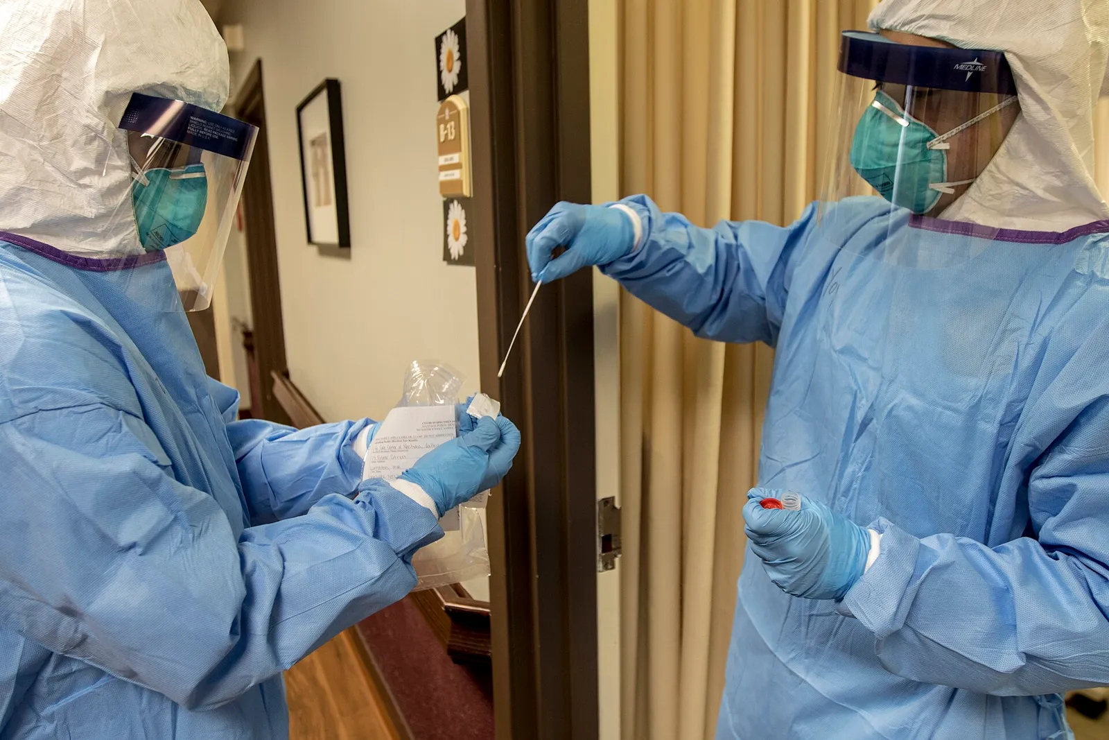 A nasal swab being collected for a COVID-19 test