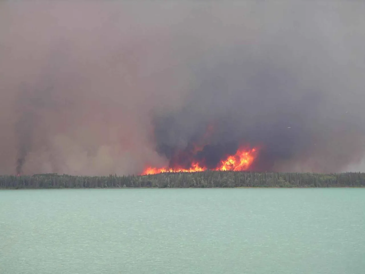 Flames from a forest wildfire (file photo).