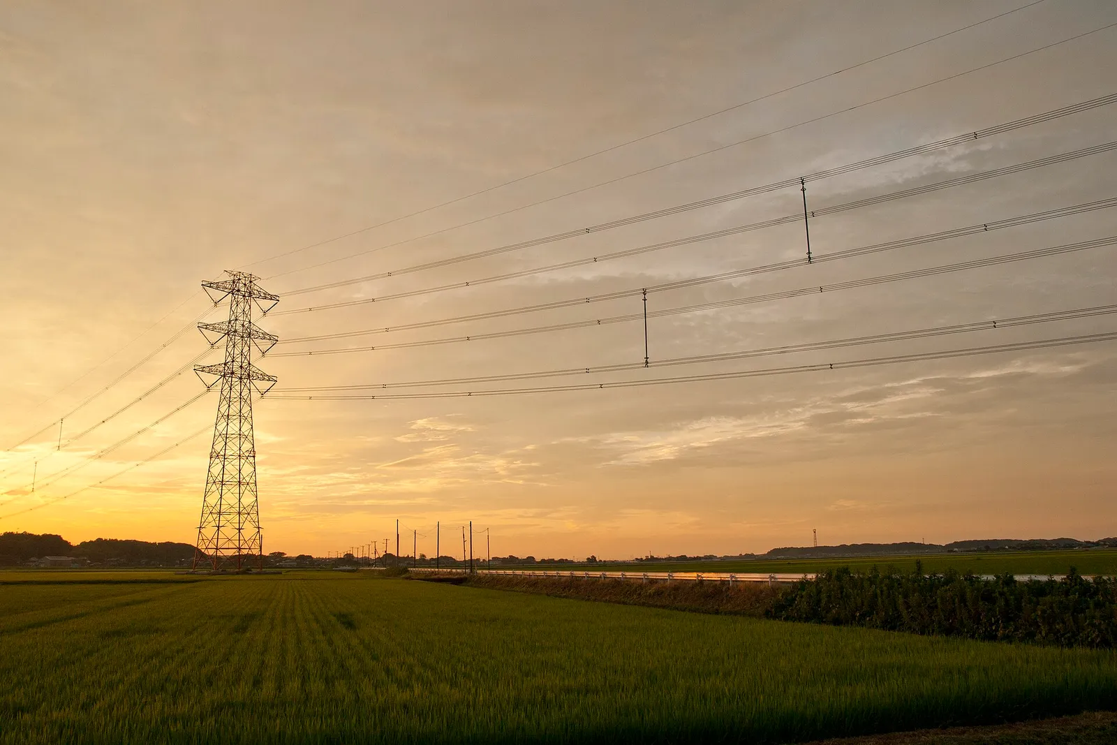 Electric power lines
