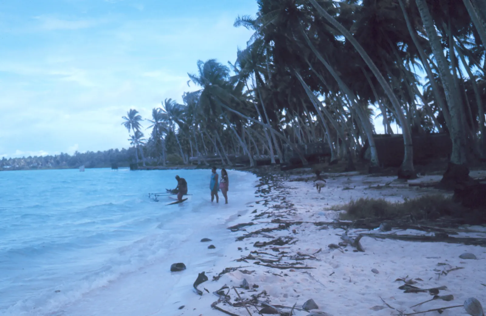 An outrigger canoe on the water in the Pacific.